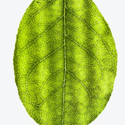 20250729 - I am enough, everything is ok