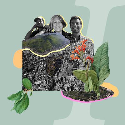 4.- Cerros Islas: Oportunidades Socio-Ambientales para Santiago