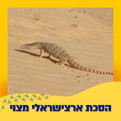 לטאות כח