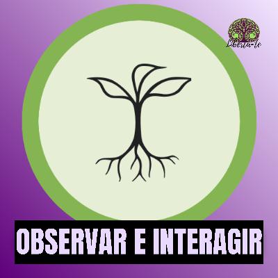 Ep.13 - "Observar e Interagir"