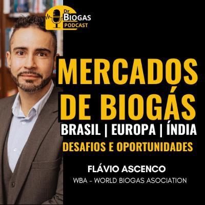 QUAL O POTENCIAL MUNDIAL DE BIOGÁS?