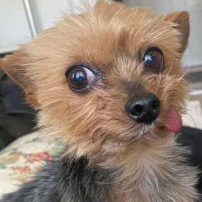 #230 Pótspagetti Körtelével: Pipi néni, Naruto és a lyukas cipő