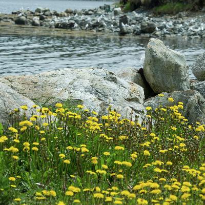 Cristo entiende nuestro corazón Cristo entiende nuestro corazón