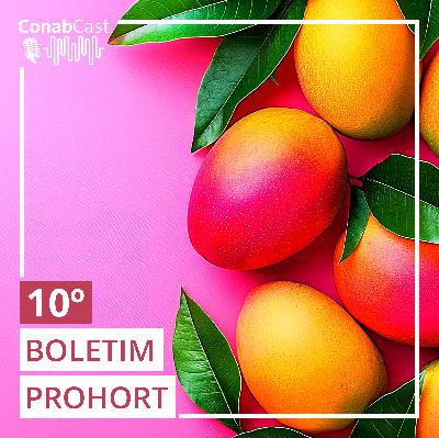 Boletim Prohort: Hortaliças ficam mais baratas no atacado no último mês