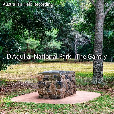 D'Aguilar National Park - Sounds from The Gantry (field recording)