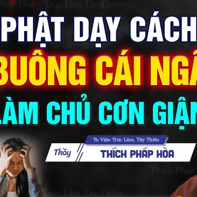 Học cách Buông Cái Ngã để làm chủ cơn nóng giận - Thầy Thích Pháp Hòa
