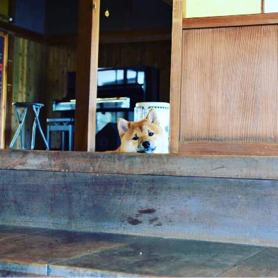 #21　【ゲスト回】豆柴飼育員　江上さん