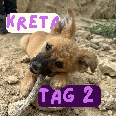 Reisetagebuch Kreta: Tag ZWEI Reisetagebuch Kreta: Tag ZWEI