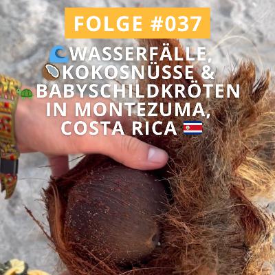 #037 | 🌊 Wasserfälle, 🥥 Kokosnüsse & 🐢 Babyschildkröten in Montezuma, Costa Rica 🇨🇷 | Weltreise – Backpacking – Reisebericht 🗺