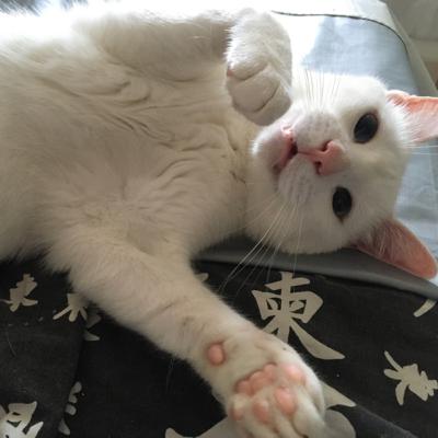 O que você tem feito por você hoje?