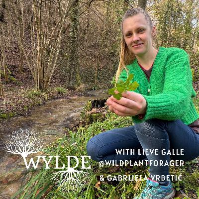 #20 Foraging, herbalism and folk medicine in Croatia