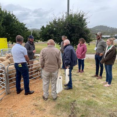 Ripley Atkinson from Meat & Livestock Australia updates Flow listeners on the latest movements in the meat markets Ripley Atkinson from Meat & Livestock Australia updates Flow listeners on the latest movements in the meat markets