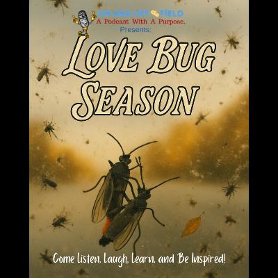 Episode 58: Lovebug Season Episode 58: Lovebug Season