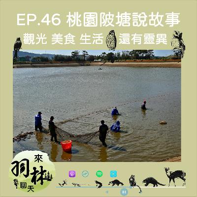 來羽林聊天 EP.46 桃園陂塘說故事/石門水庫活魚、龍潭觀光大池/陂塘鬼故事之差點要轉型為靈異節目 ft. 王派鋒 桃園市環教學會前理事長