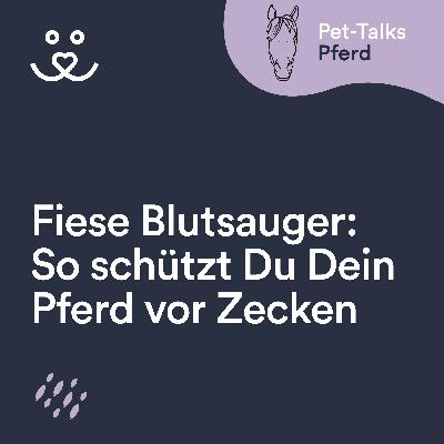 Fiese Blutsauger: So schützt Du Dein Pferd vor Zecken & Co.