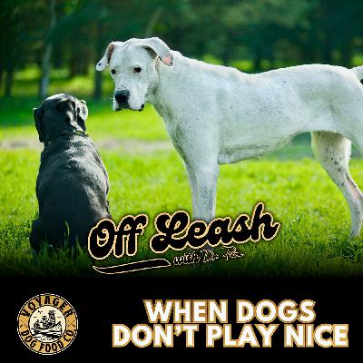 When Dogs Don’t Play Nice