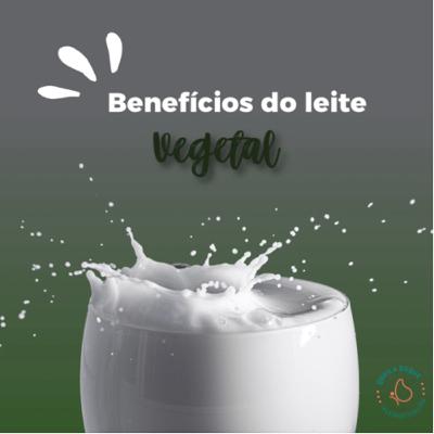 Diferentes tipos de leite vegetal