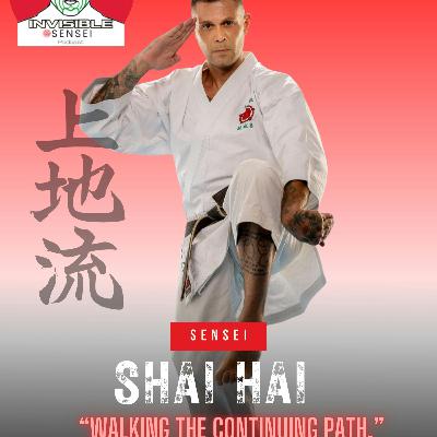 Shai Hai Sensei: "Walking the continuing path." part 2 of 3