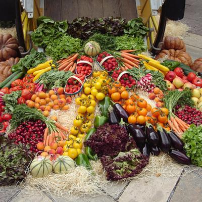 Jim Schaefer - Sustainable agriculture