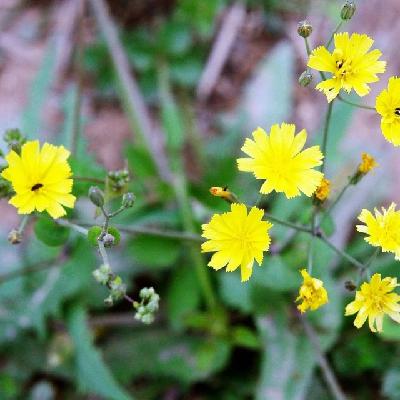 改善心情多喝水 改善心情多喝水