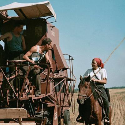E34 - Against the Grain: The Virgin Lands Campaign in Kazakhstan