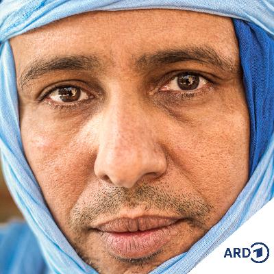 Der Formelzauberer (1/12) Der Formelzauberer (1/12)