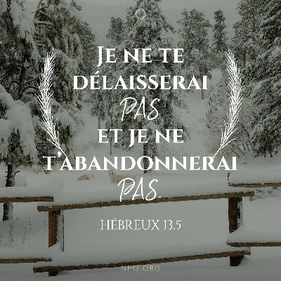 Avec moi dans ma solitude