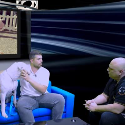 Dogo Αrgentino - Ντόγκο Αρτζεντίνο