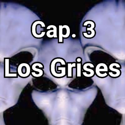 Cap. 3 Los Grises