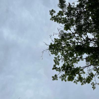 A short daylight talk: About embarrassing moments and memories