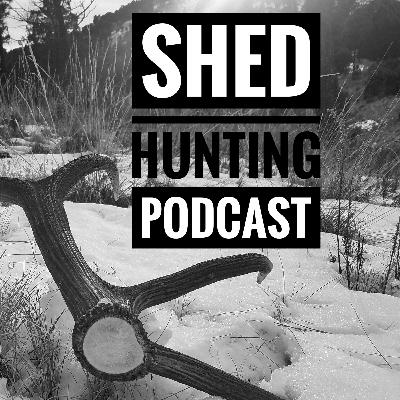 Covid and Antler Shed Hunting on Public Land during 2020. Covid and Antler Shed Hunting on Public Land during 2020.