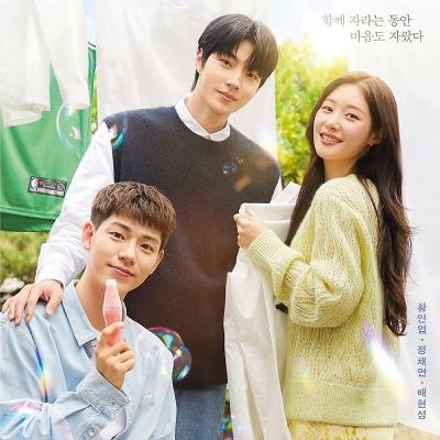 #79 - Family By Choice - Kdrama sinopse e depois opinião com spoilers