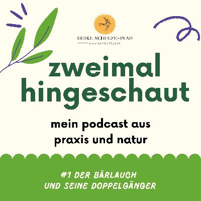 Der Bärlauch und seine Doppelgänger