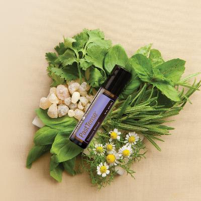 PastTense la Miscela Distensiva