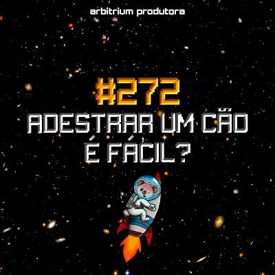 #272 Adestrar um cão é fácil? #272 Adestrar um cão é fácil?