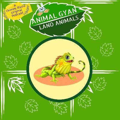 Iguana