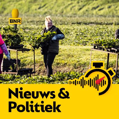 Arbeidsmigratie verdeelt partijen, ‘maar ze worstelen er allemaal flink mee’