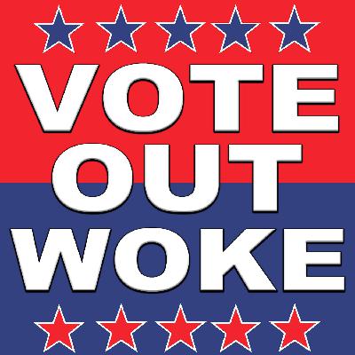Vote Out the Woke