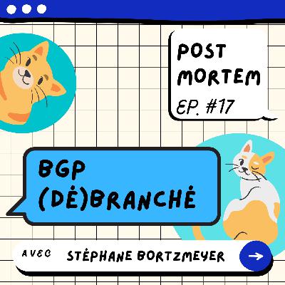 #17 Incident BGP chez Facebook & OVH