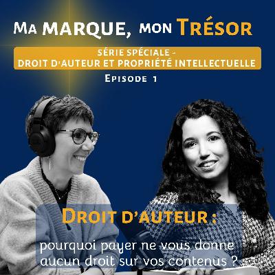 1 -Créer ne veut pas dire posséder-Droit d’auteur:ce que vous pensez vous appartenir… ne l’est pas toujours, série spé Ma Marque, mon Trésor