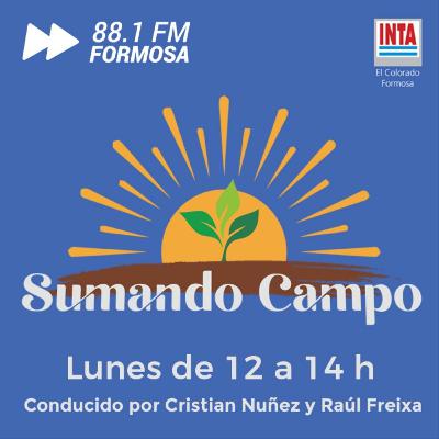Sumando Campo 24/04/2023 - T6-E08