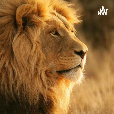 Depression 01, Primary Thoughts on Depression