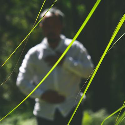 Gratitudes ♡ Dissolution