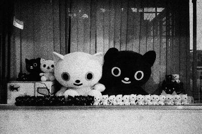 Shooting Neopan 1600 in Japan