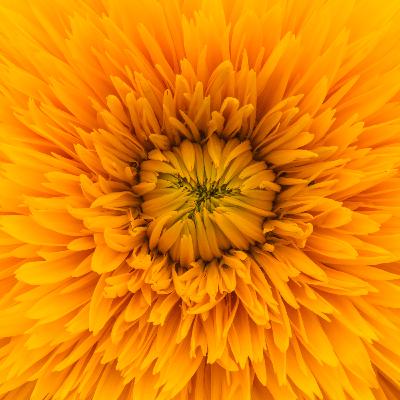 Meditation | Embrace who you are Meditation | Embrace who you are