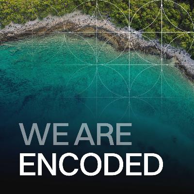 MUST LISTEN: Frequency Chains Explained: How Identity and Beliefs Create Every Result in Your Life