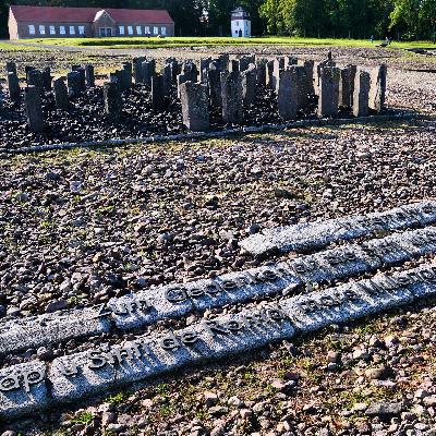Sinti und Roma - DDR und Kirchen verdrängten den Genozid Sinti und Roma - DDR und Kirchen verdrängten den Genozid