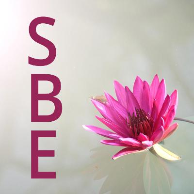 The Buddhist Path SBE: Episode 4
