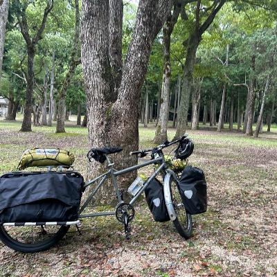 カーゴバイクに乗るとどうなるか？