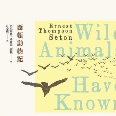［聽故事］07《西頓動物記》之棉尾兔破耳（上）🐇｜為什麼要選總統啊？